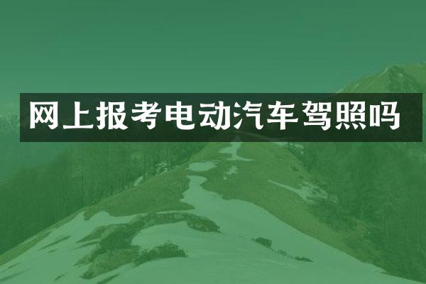 网上报考电动汽车驾照吗