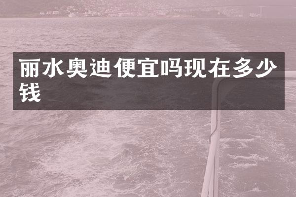 丽水奥迪便宜吗现在多少钱