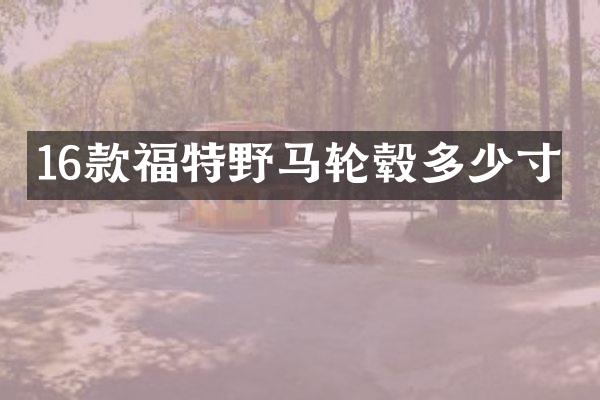 16款福特野马轮毂多少寸