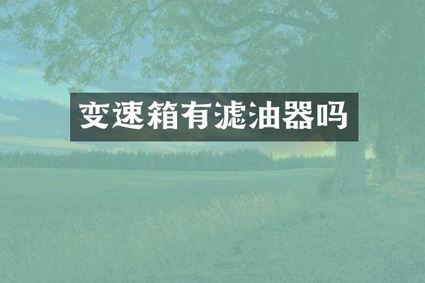 变速箱有滤油器吗