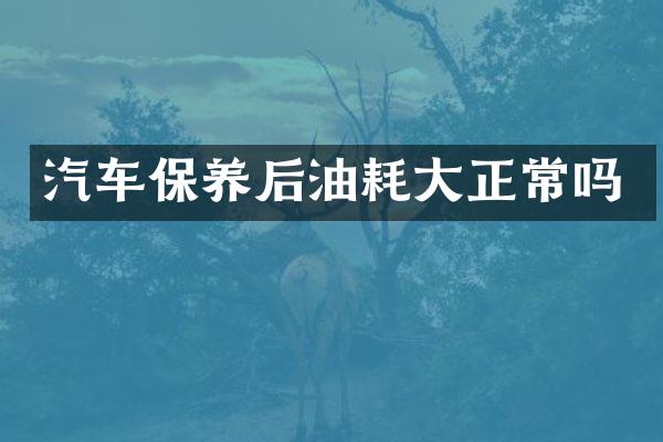 汽车保养后油耗大正常吗