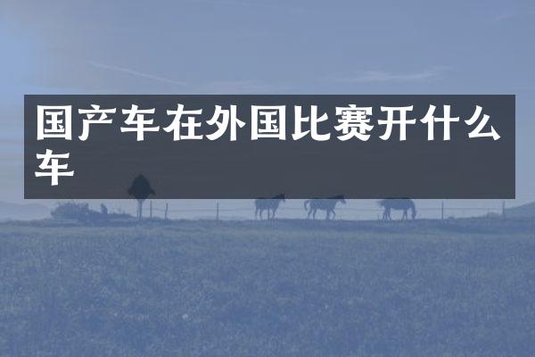 国产车在外国比赛开什么车