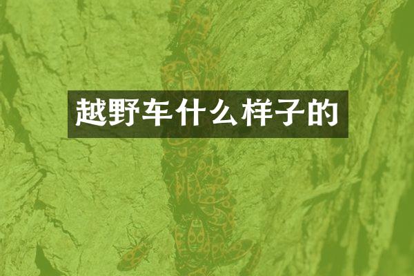 越野车什么样子的
