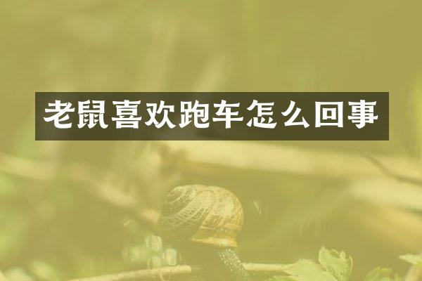 老鼠喜欢跑车怎么回事