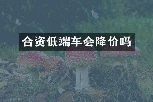 合资低端车会降价吗