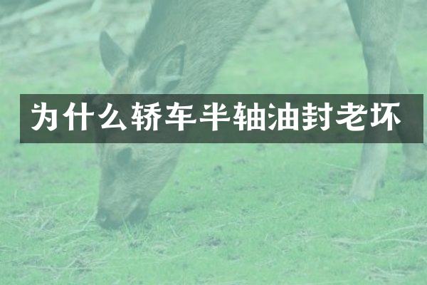 为什么轿车半轴油封老坏