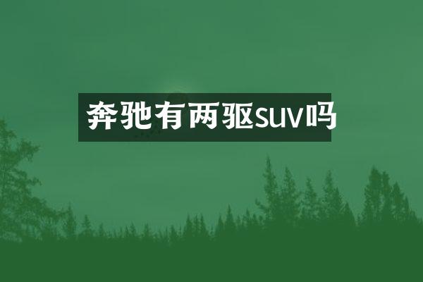 奔驰有两驱suv吗