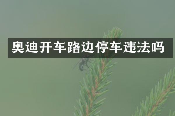 奥迪开车路边停车违法吗