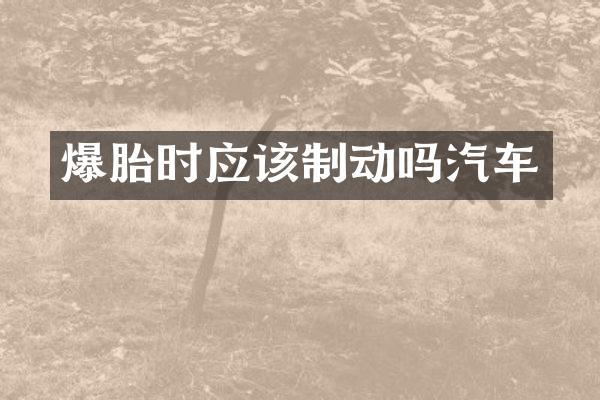 爆胎时应该制动吗汽车
