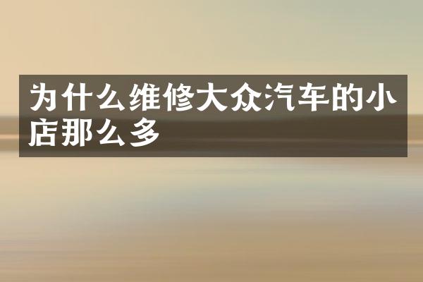 为什么维修大众汽车的小店那么多