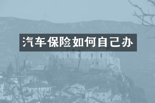 汽车保险如何自己办