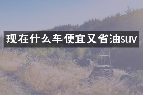 现在什么车便宜又省油suv