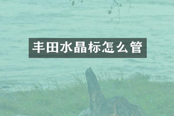 丰田水晶标怎么管