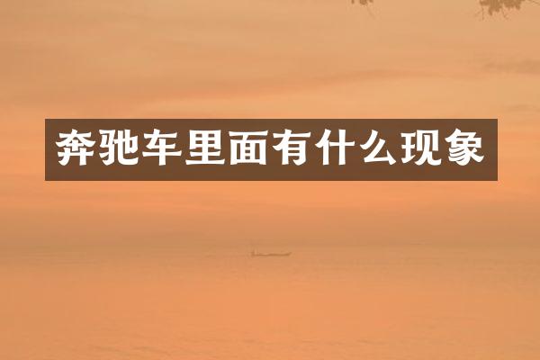 奔驰车里面有什么现象