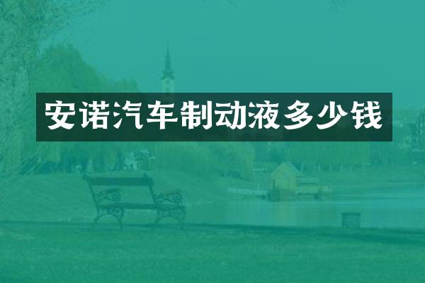 安诺汽车制动液多少钱