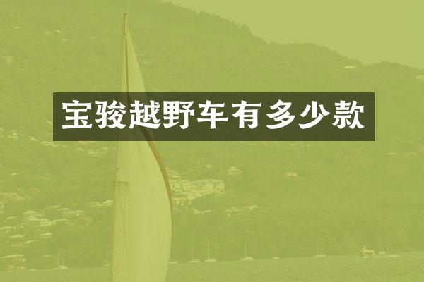 宝骏越野车有多少款