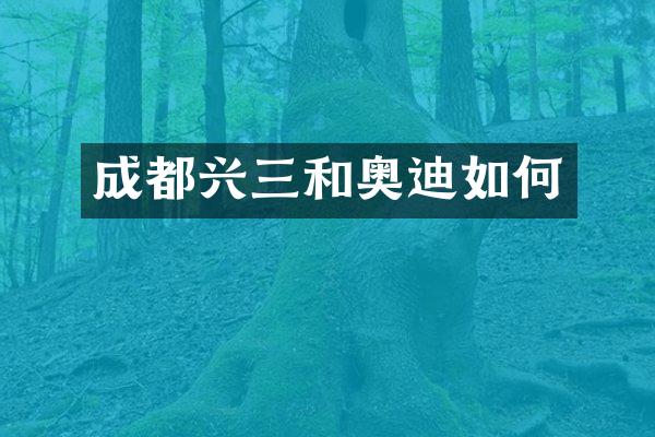 成都兴三和奥迪如何