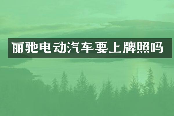 丽驰电动汽车要上牌照吗