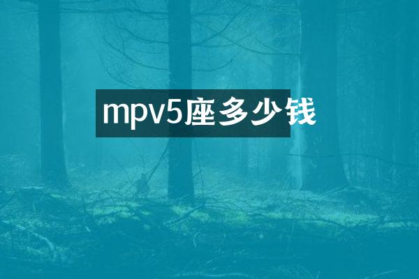 mpv5座多少钱