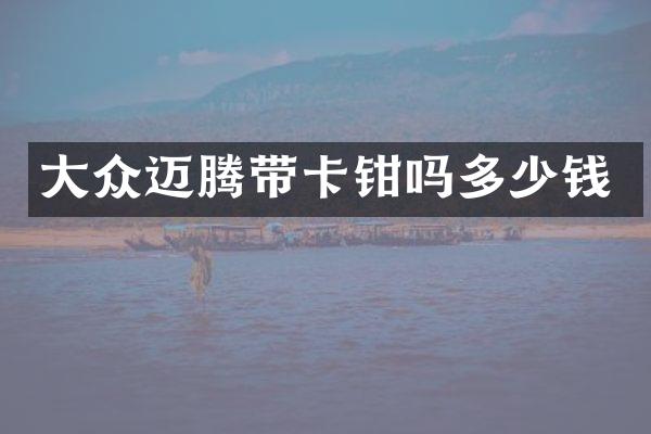 大众迈腾带卡钳吗多少钱