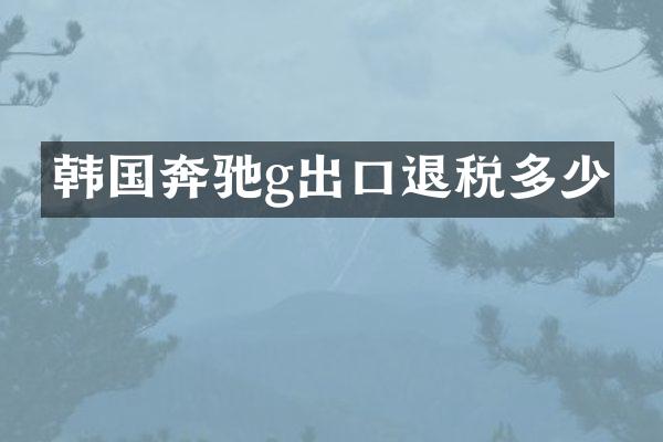 韩国奔驰g出口退税多少