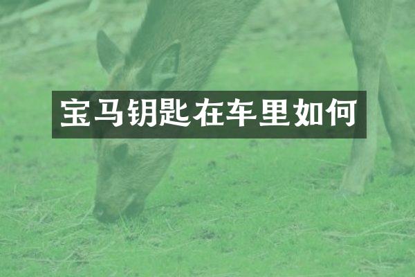 宝马钥匙在车里如何