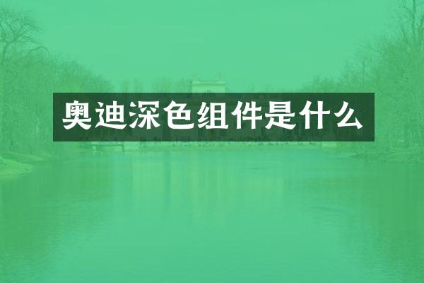 奥迪深色组件是什么