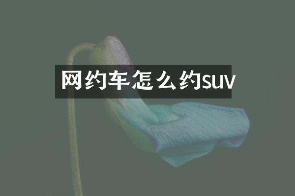 网约车怎么约suv