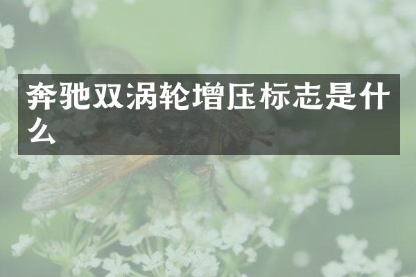 奔驰双涡轮增压标志是什么