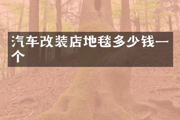 汽车改装店地毯多少钱一个
