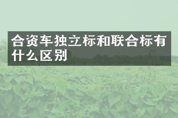 合资车独立标和联合标有什么区别
