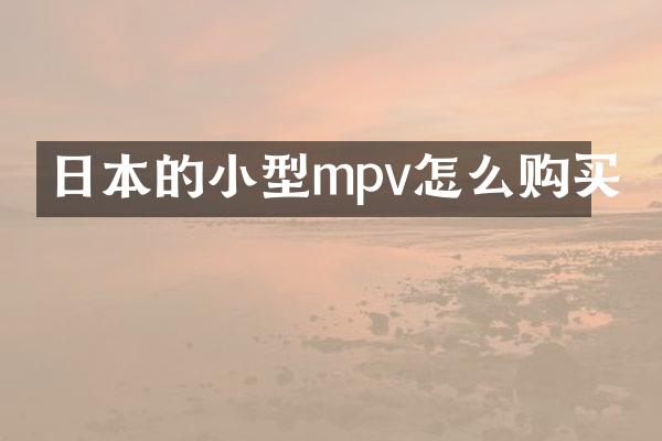 日本的小型mpv怎么购买