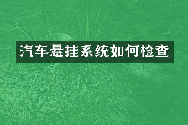 汽车悬挂系统如何检查