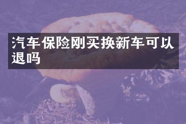 汽车保险刚买换新车可以退吗