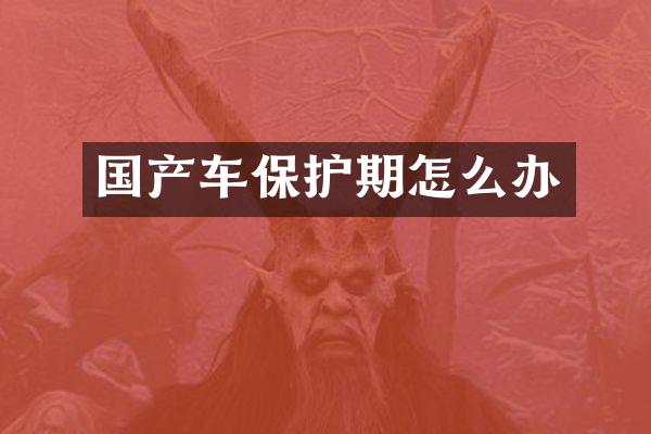 国产车保护期怎么办