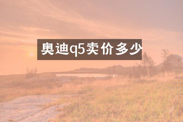 奥迪q5卖价多少