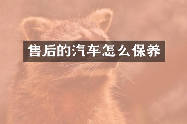 售后的汽车怎么保养