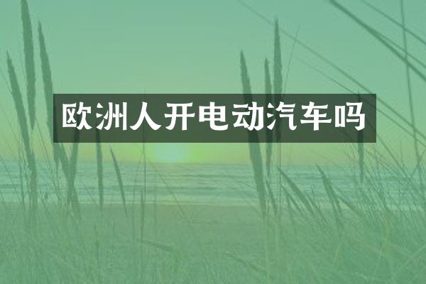 欧洲人开电动汽车吗