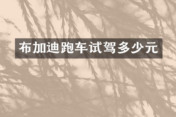 布加迪跑车试驾多少元