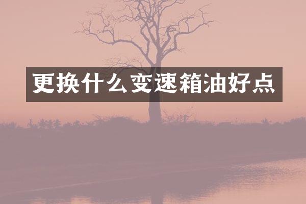 更换什么变速箱油好点