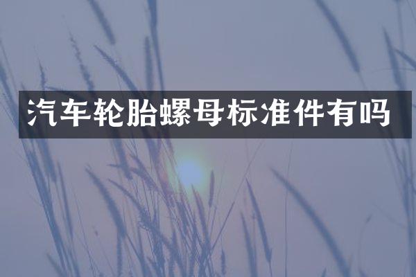 汽车轮胎螺母标准件有吗