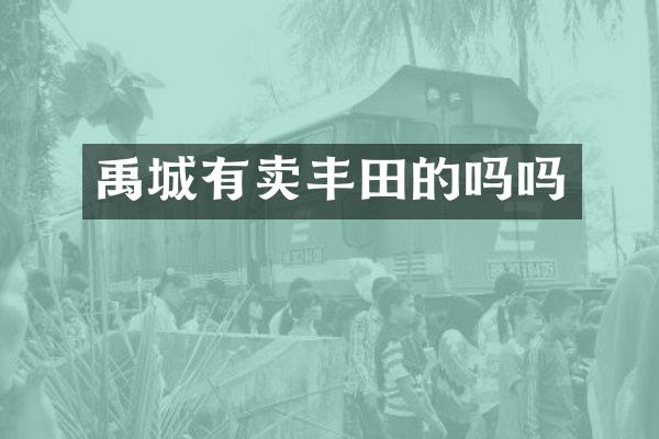 禹城有卖丰田的吗吗