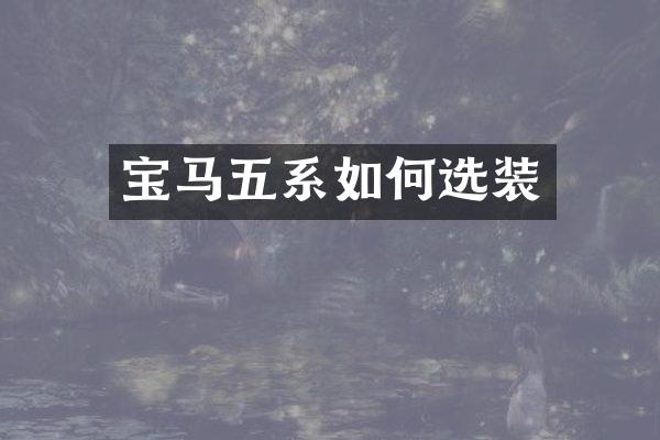 宝马五系如何选装