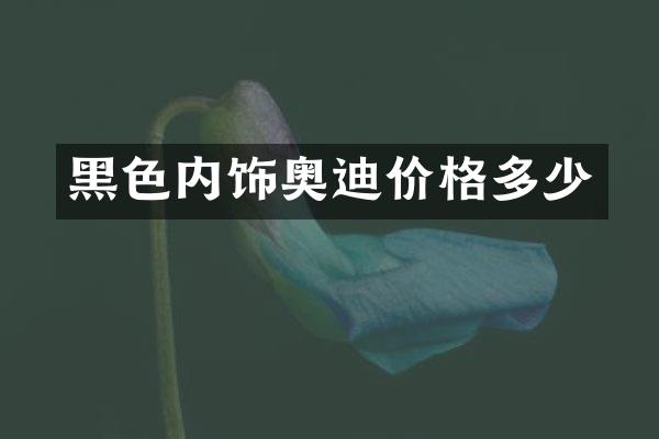 黑色内饰奥迪价格多少