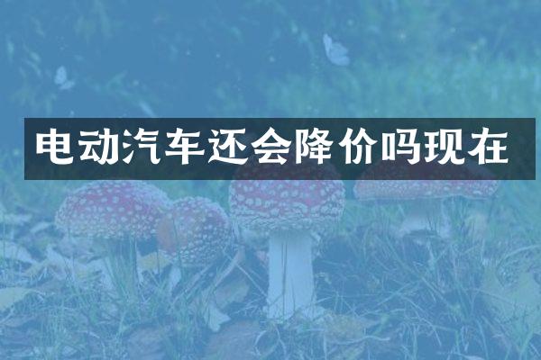 电动汽车还会降价吗现在