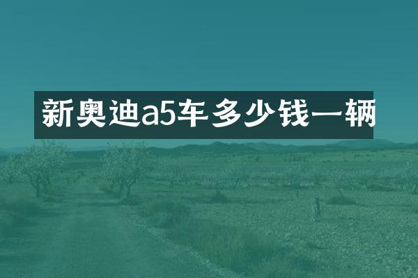 新奥迪a5车多少钱一辆