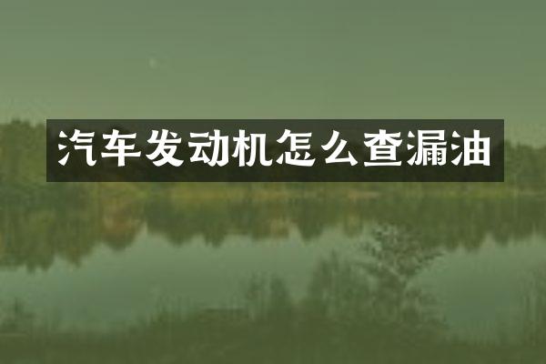 汽车发动机怎么查漏油