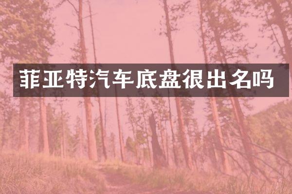 菲亚特汽车底盘很出名吗