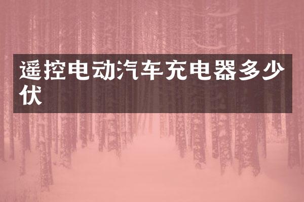 遥控电动汽车充电器多少伏