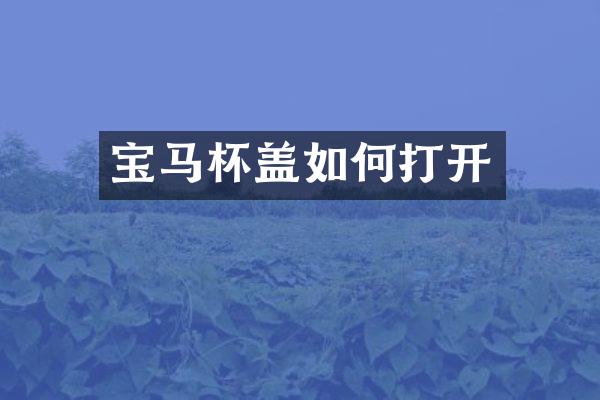 宝马杯盖如何打开